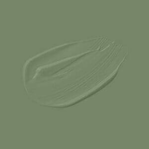PLF-4311 CACTUS